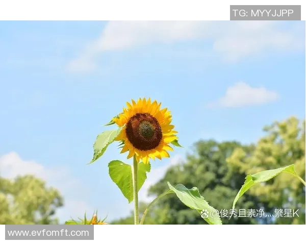 细数太阳五大高光时刻，满满回忆杀